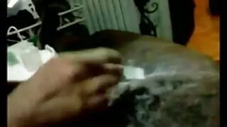 Оголені чорні дають лизати півні видео еротика і ковтати